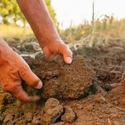 Casser les mottes de terre créées par la sécheresse dans le vexin - alliance verte